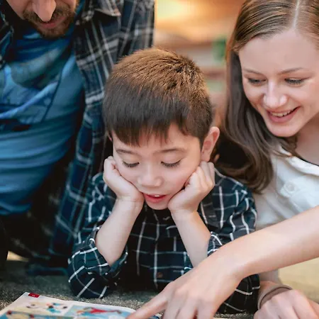 Отель Ibis Centrum 2*