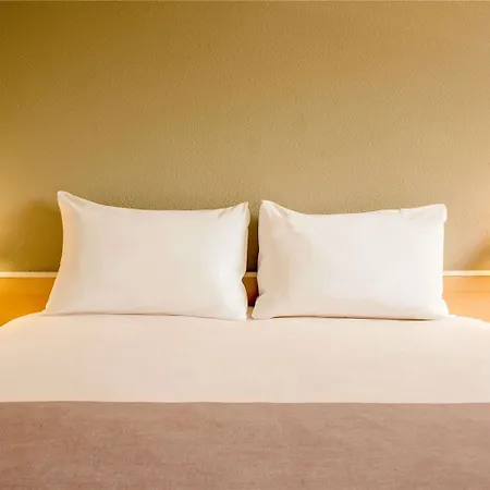 Отель Ibis Centrum