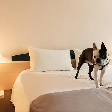 Ibis Centrum Hotell Łódź