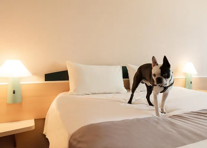 Ibis Centrum Hotell Łódź